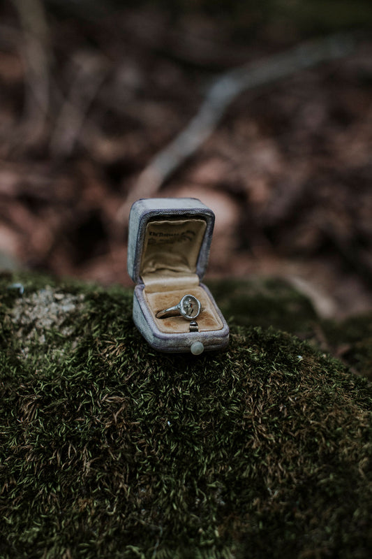 Alchemy Ring – Prehnite