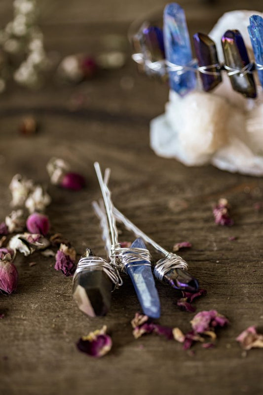 Visionary Hair Pin Set