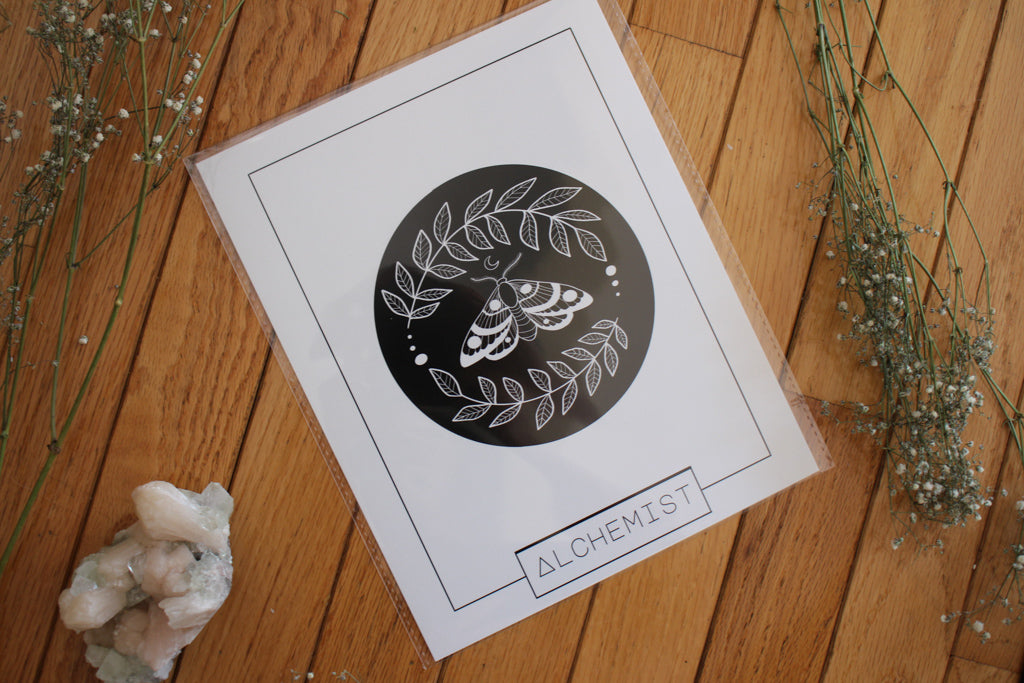 Midnight Raven Studios